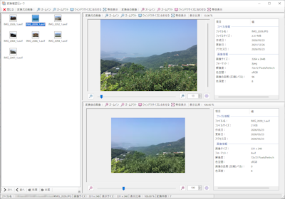 Apex Image Resizer 変換確認ビューワ