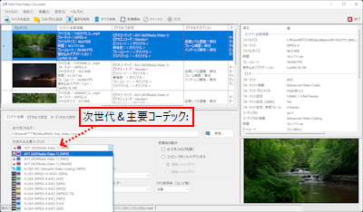 HAV Free Video Converter 出力タイプの選択 次世代＆主要コーデック