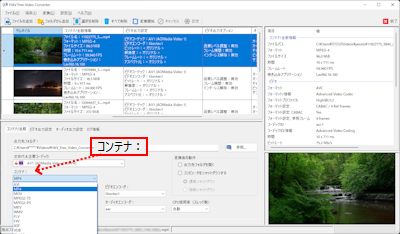 HAV Free Video Converter 出力タイプの選択 コンテナ