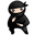 System Ninja Icon